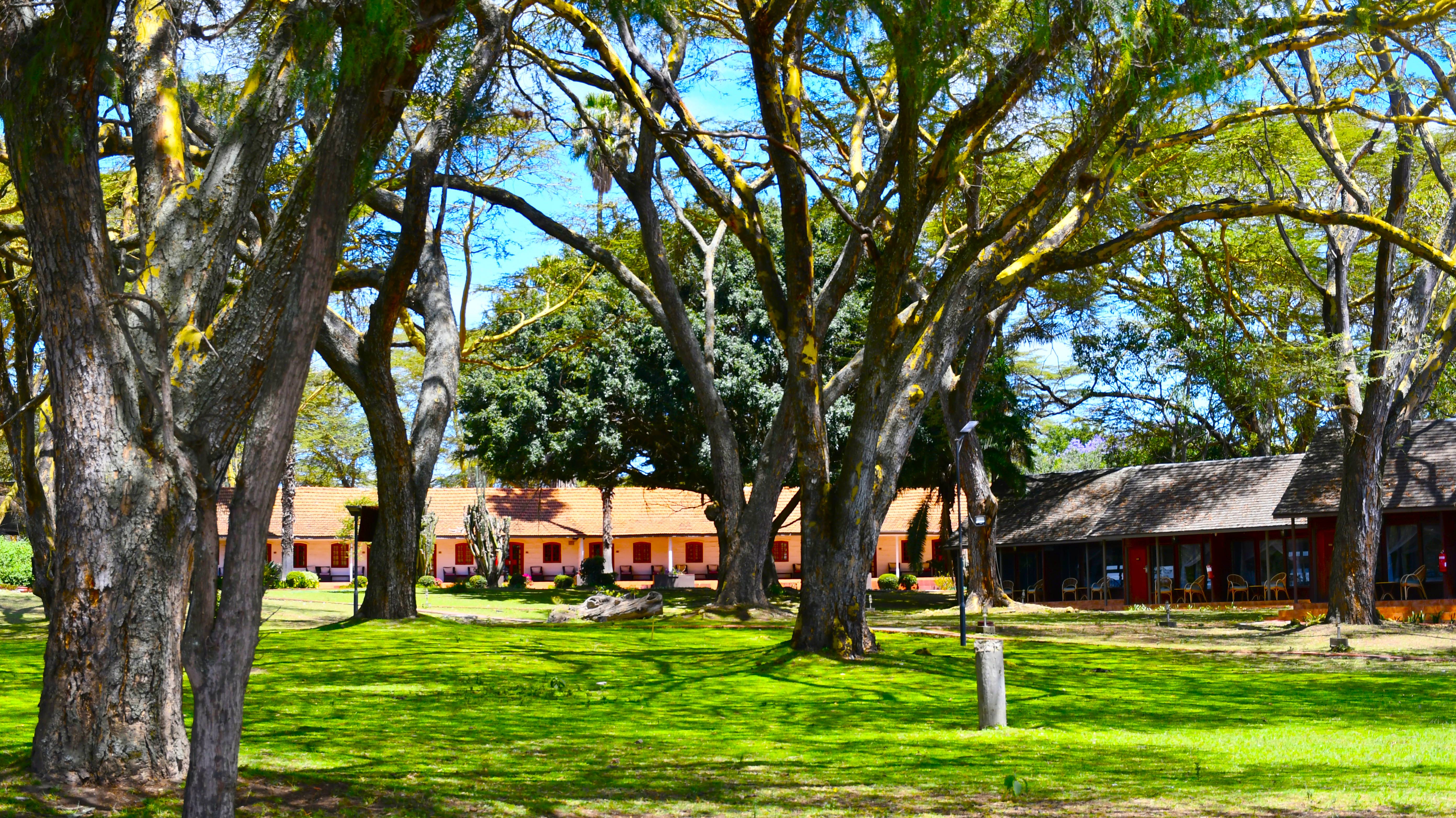 ORBITA E3041 RFID Hotel Locks at Lake Naivasha Country Club, MGM